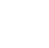inspections icon